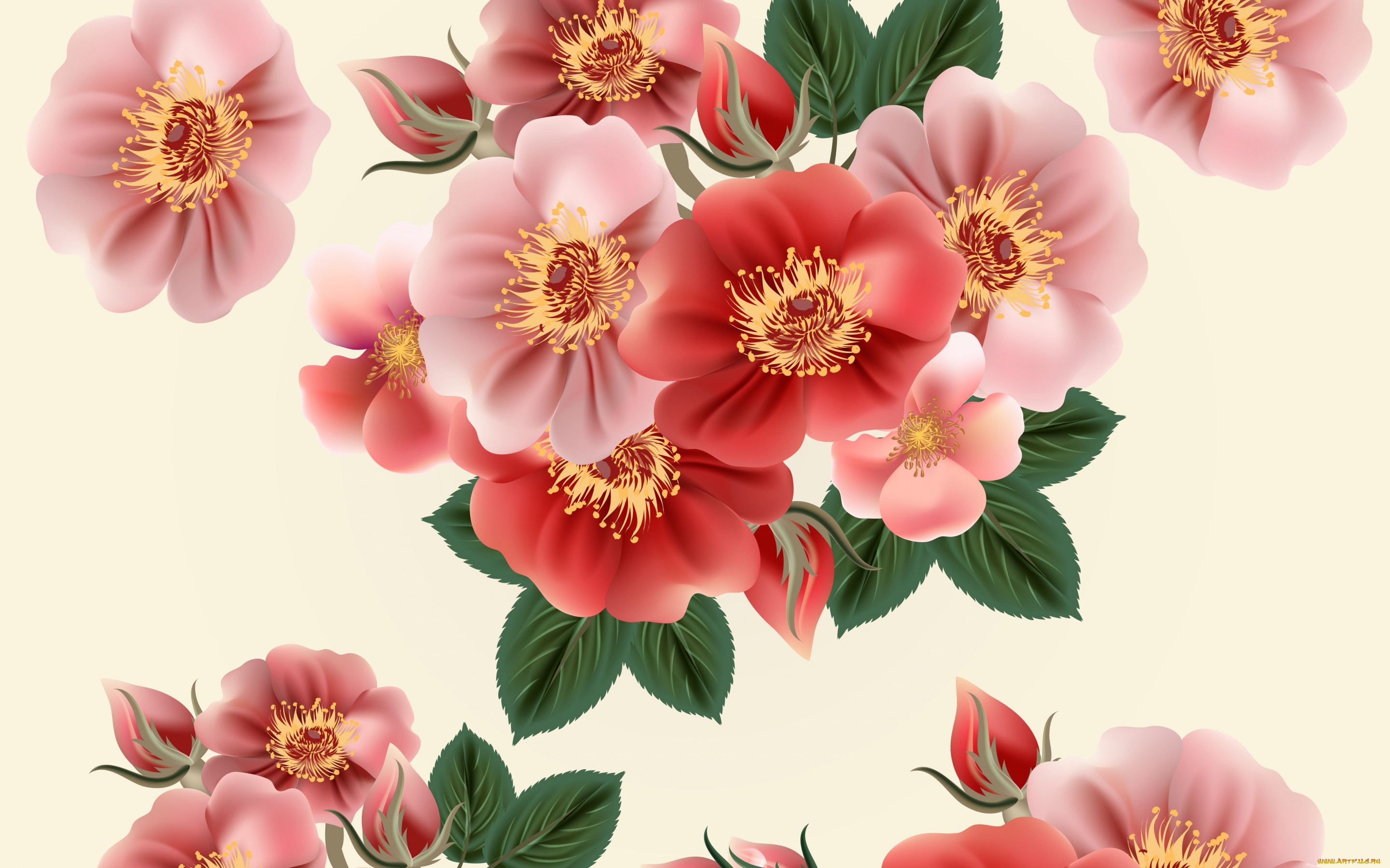  ,  , flowers, , 